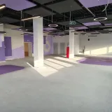 i (1)